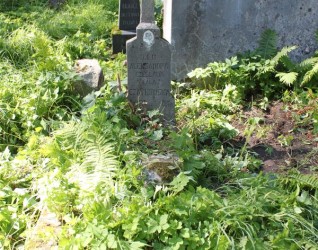 Nagrobek Aleksandry Czajkowskiej, cmentarz Na Rossie w Wilnie, stan z 2013