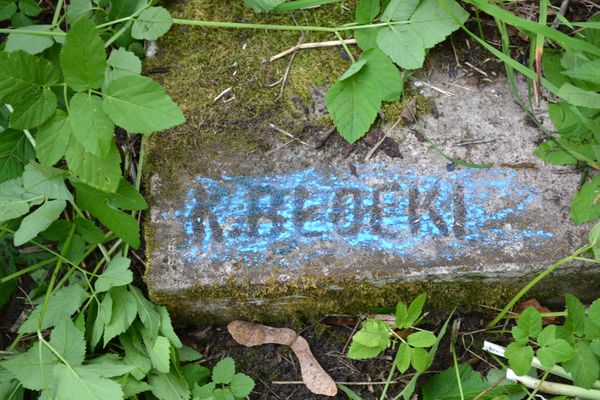Fragment of Maria Veckovich's gravestone, Rossa cemetery in Vilnius, 2013