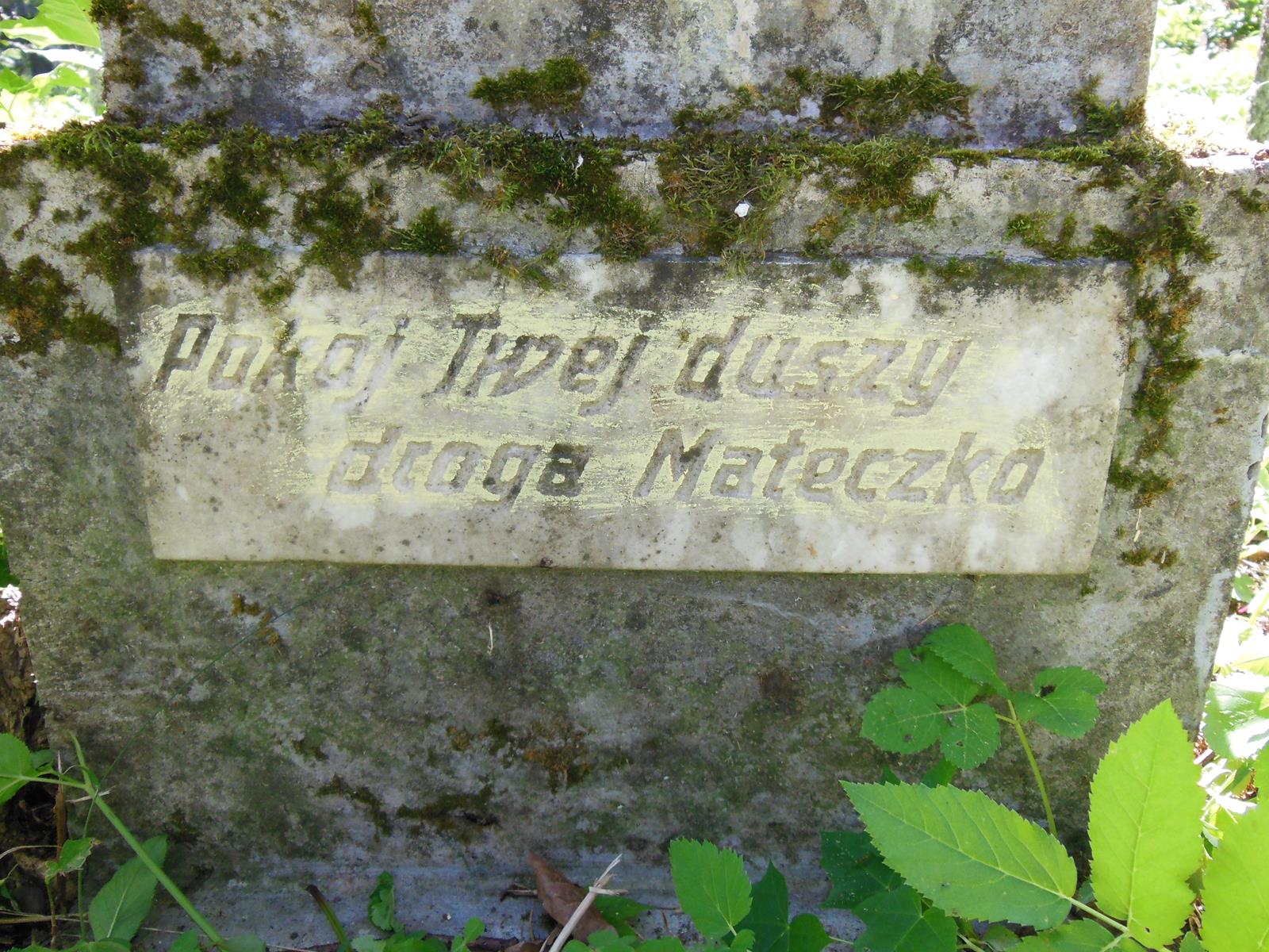 Tombstone of Antonina Kossakowska, Ross cemetery in Vilnius, as of 2013.