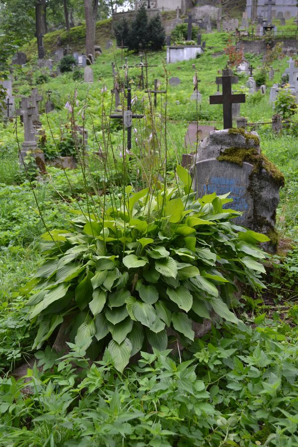 Nagrobek Juliana Iwaszkiewicza, cmentarz na Rossie w Wilnie, stan z 2013