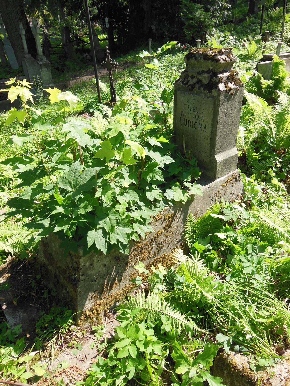 Nagrobek Izabeli Dubickiej, cmentarz na Rossie w Wilnie, stan z 2013 r.