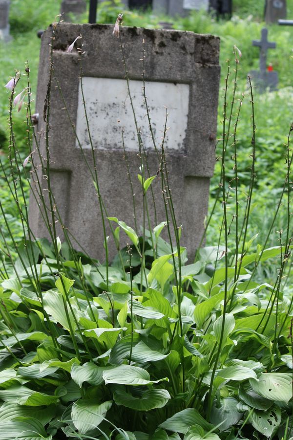 Nagrobek Szymona Gintowta, cmentarz na Rossie w Wilnie, stan z 2013