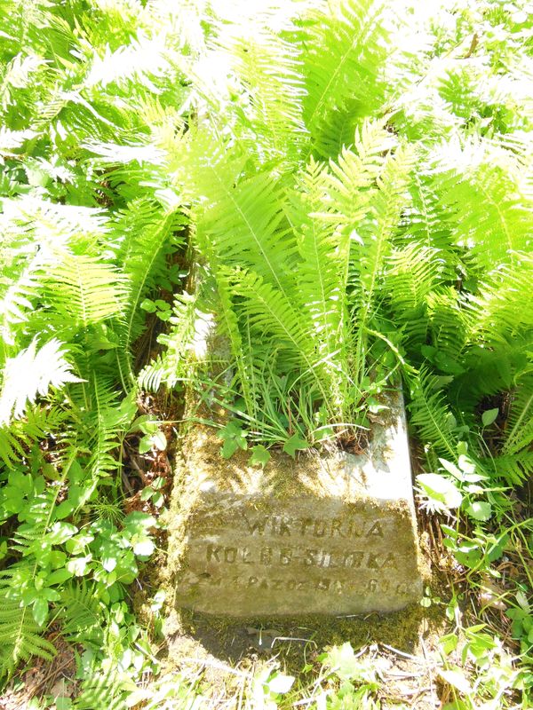 Tombstone of Viktoria Kolro-Silirka, Ross cemetery in Vilnius, as of 2013.