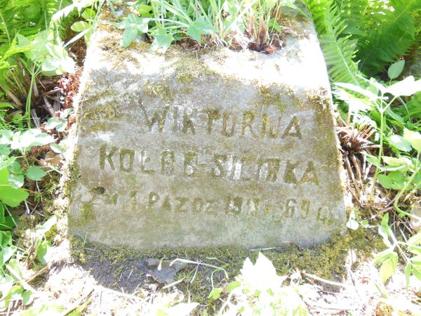 Tombstone of Viktoria Kolro-Silirka, Ross cemetery in Vilnius, as of 2013.