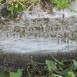 Photo montrant Tombstone of Stanisław Drozdowski