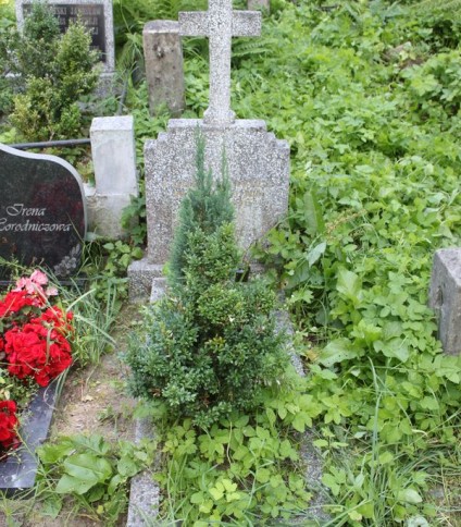 Nagrobek Wilhelminy Fronckiewicz, cmentarz Na Rossie w Wilnie, stan z 2013