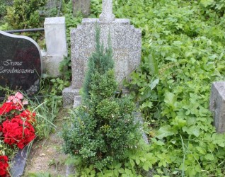 Nagrobek Wilhelminy Fronckiewicz, cmentarz Na Rossie w Wilnie, stan z 2013