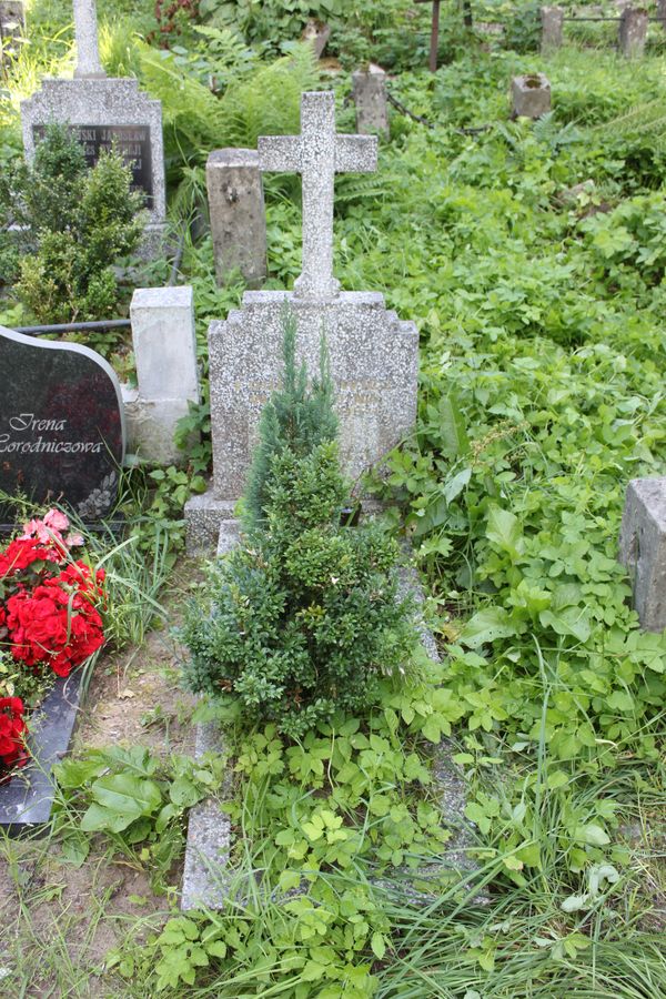 Nagrobek Wilhelminy Fronckiewicz, cmentarz Na Rossie w Wilnie, stan z 2013