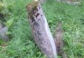 Fotografia przedstawiająca Nagrobek rodziny Piwcenis