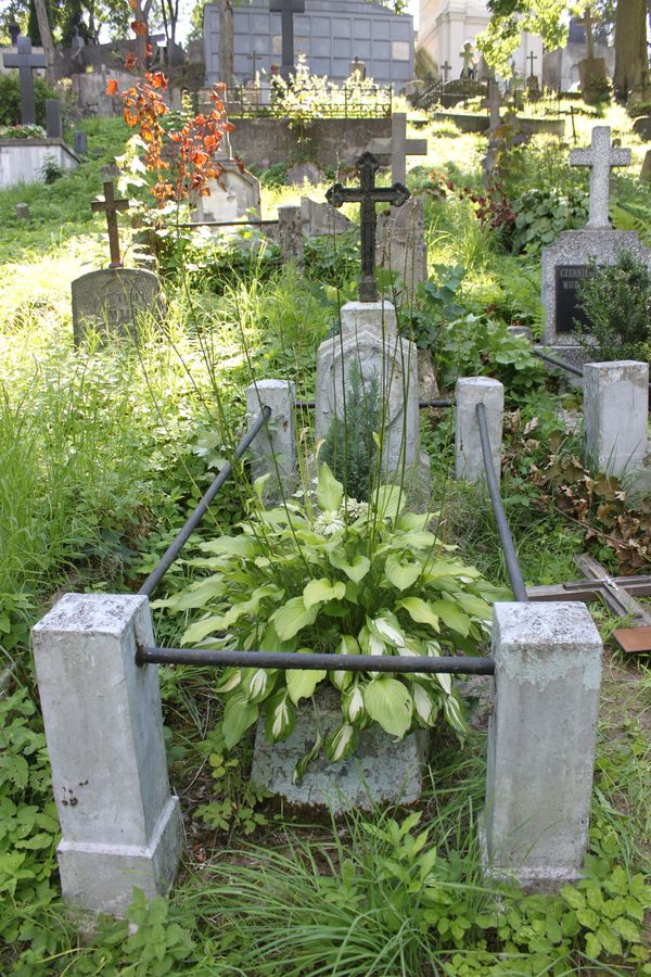 Nagrobek N. N. Fronckiewicz, cmentarz Na Rossie w Wilnie, stan z 2013