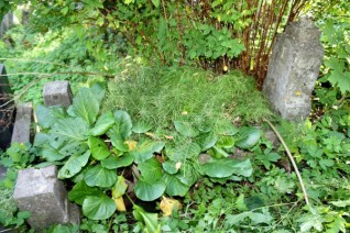 Nagrobek Anny Wasilewskiej z cmentarza na Rossie w Wilnie, stan z 2013 r.