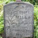 Photo montrant Tombstone of Teofil Milko