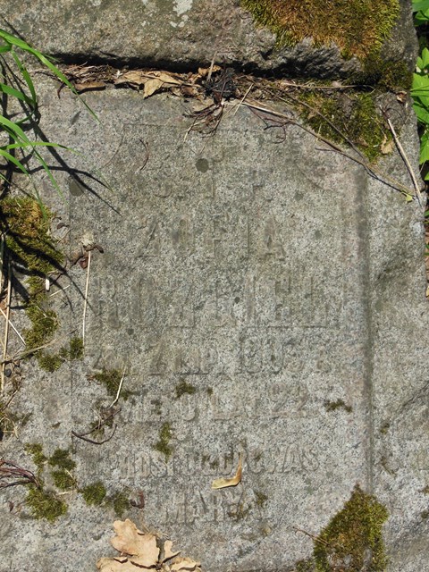 Fragment nagrobka Weroniki Palul i Zofii Rozgiel, cmentarz na Rossie, stan z 2014 roku