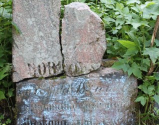 Nagrobek Juliana Borkowskiego, cmentarz Na Rossie w Wilnie, stan z 2013