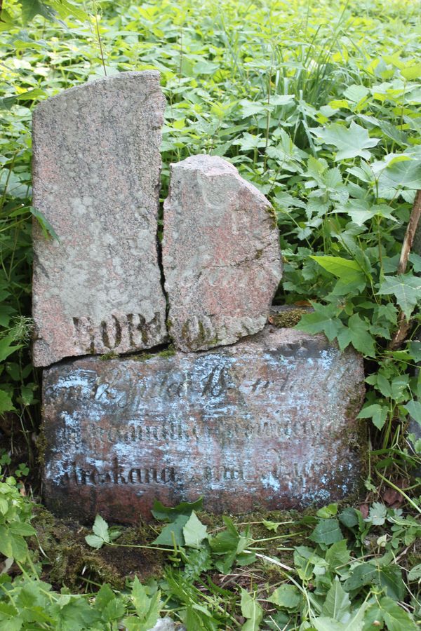 Tombstone of Julian Borkowski, Na Rossie cemetery in Vilnius, as of 2013