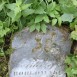 Fotografia przedstawiająca Tombstone of Andrzej Borkowski