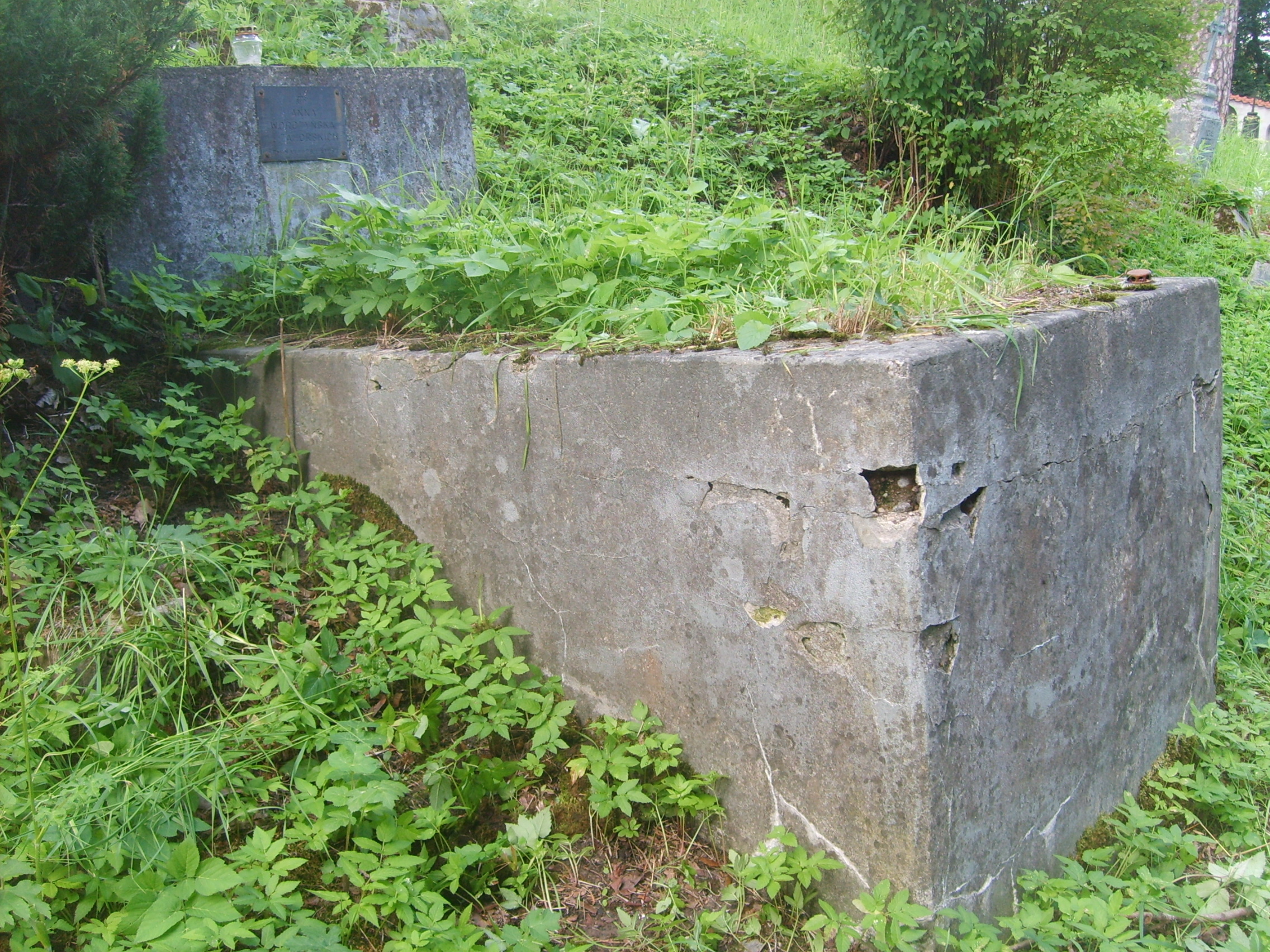 Grobowiec Anny Worotyńskiej, cmentarz Na Rossie w Wilnie, stan z 2013 roku