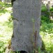 Fotografia przedstawiająca Gravestone of Apolonia Gulbicka