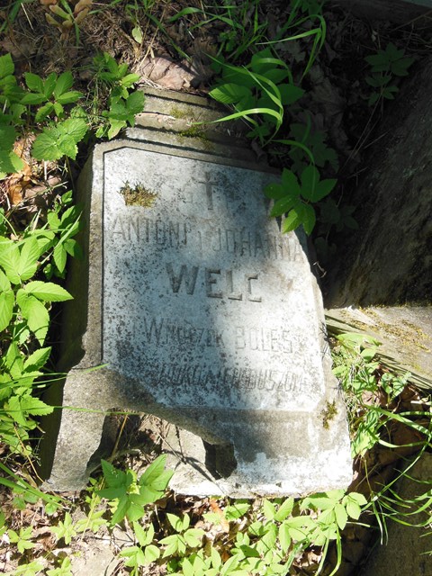 Fragment of the tombstone of the Welc family, Ross cemetery, state of 2014