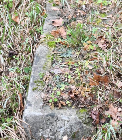 Nagrobek Felicji Urganowicz, cmentarz Na Rossie w Wilnie, stan z 2019 r.