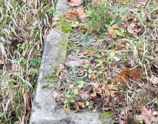 Nagrobek Felicji Urganowicz, cmentarz Na Rossie w Wilnie, stan z 2019 r.