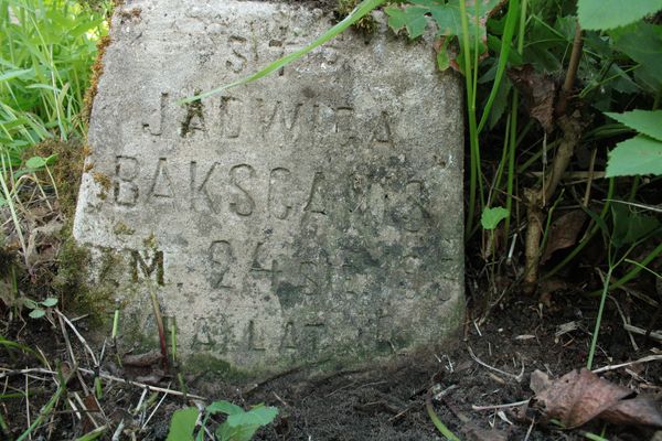Fragment of a tombstone of Jadwiga Bakscanis, Rossa cemetery in Vilnius, state of 2013