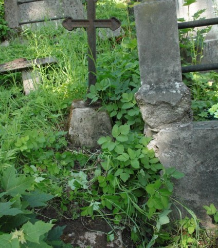 Nagrobek Jadwigi Bakscanis, cmentarz na Rossie w Wilnie, stan z 2013