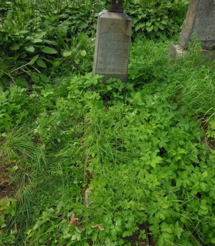 Nagrobek Józefa Niewiadomskiego, cmentarz Na Rossie w Wilnie, stan z 2013 r.