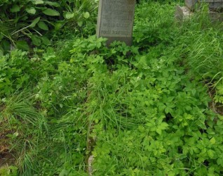 Nagrobek Józefa Niewiadomskiego, cmentarz Na Rossie w Wilnie, stan z 2013 r.