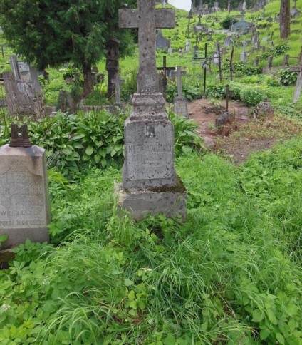 Nagrobek Piotra Niewiadomskiego, cmentarz Na Rossie w Wilnie, stan z 2013 r.