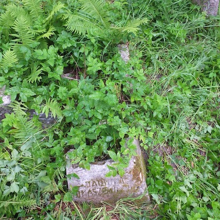 Tombstone of Jadwiga Tomaszewicz, Ross cemetery, as of 2013