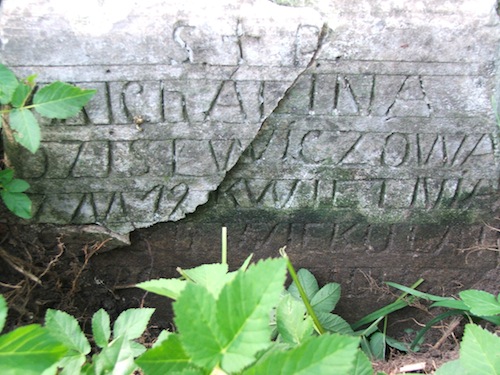 Fragment nagrobka Michaliny Dzisewicz, cmentarz na Rossie, stan z 2013 roku