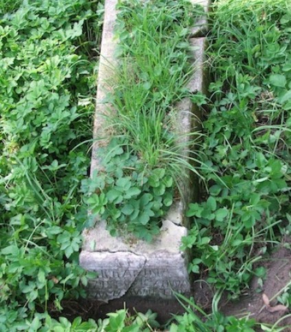 Nagrobek Michaliny Dzisewicz, cmentarz na Rossie, stan z 2013 roku