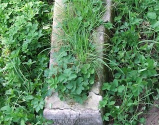 Nagrobek Michaliny Dzisewicz, cmentarz na Rossie, stan z 2013 roku