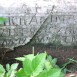 Photo montrant Tombstone of Michalina Dzisewicz