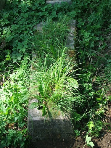 Tombstone of Jozefa Krasoczka, Ross cemetery, as of 2013