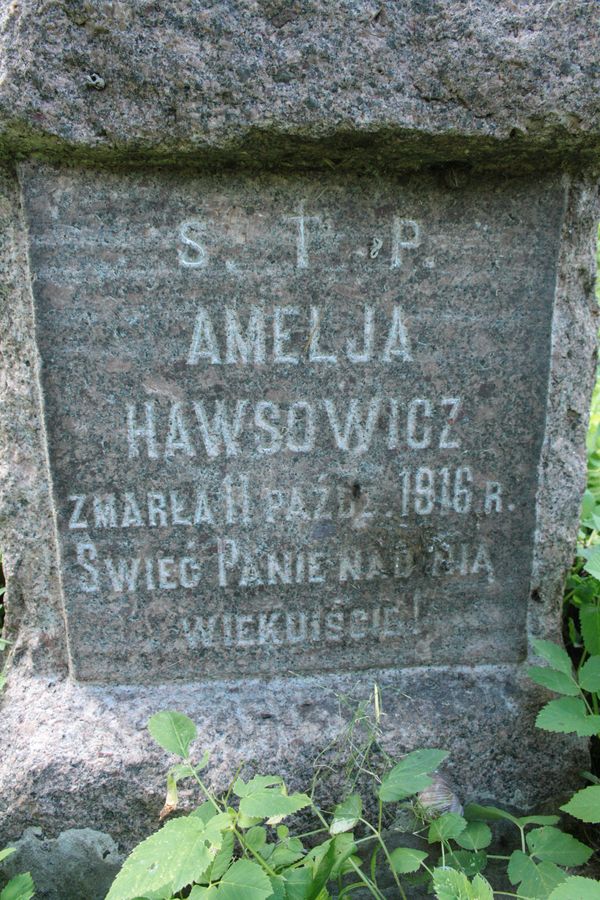 Fragment of a tombstone of Amelia Hawsowicz, Rossa cemetery in Vilnius, 2013