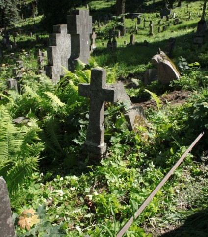 Nagrobek Anny Martyńskiej, cmentarz na Rossie w Wilnie, stan z 2013