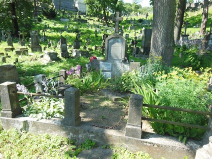 Grobowiec rodziny Borejszo-Wysockich, Józefy Józefowicza i rodziny Kardzis, cmentarz na Rossie, stan z 2014 roku