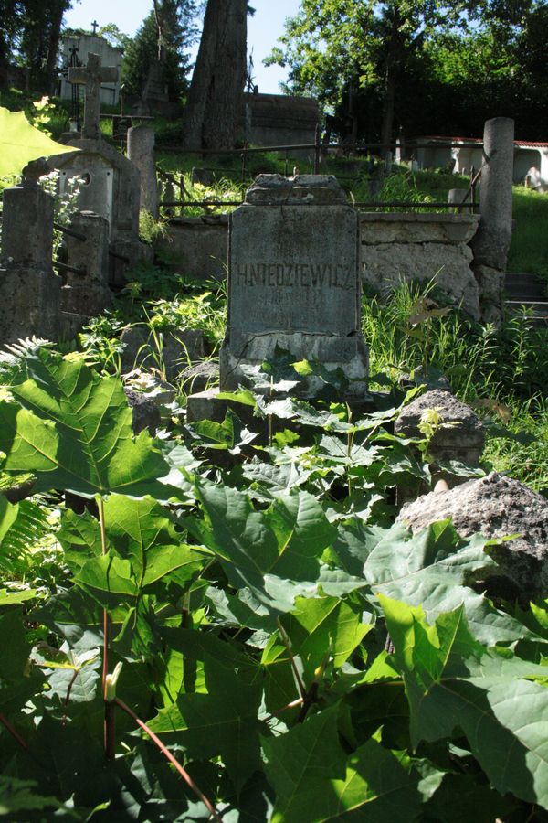 Nagrobek Michała Hniedziewicza, cmentarz na Rossie w Wilnie, stan z 2013