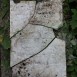 Photo montrant Tombstone of Julia Raczyńska