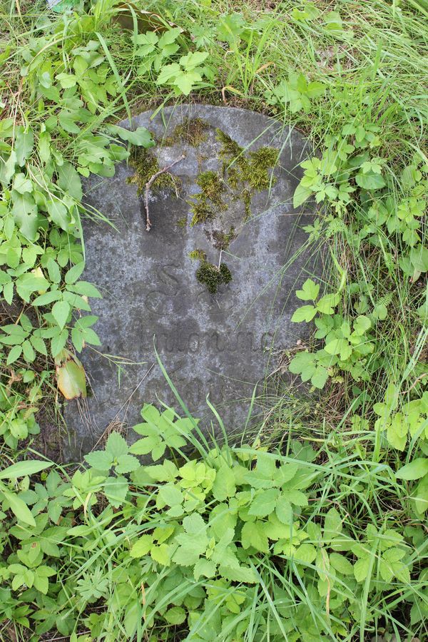 Tombstone of Antonina Rotowicz, Ross Cemetery in Vilnius, as of 2013.