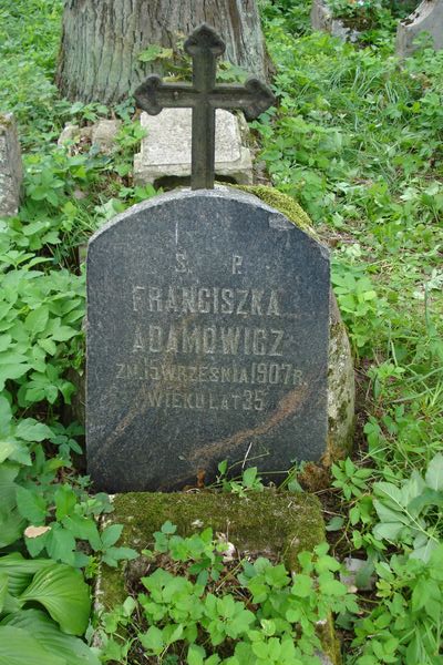 Grób Franciszki Adamowicz, cmentarz Na Rossie w Wilnie, stan z 2013