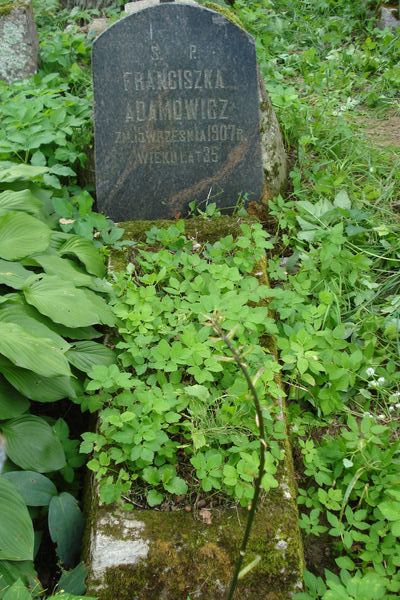 Grób Franciszki Adamowicz, cmentarz Na Rossie w Wilnie, stan z 2013