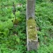 Fotografia przedstawiająca Grobowiec Wincentego Plusta