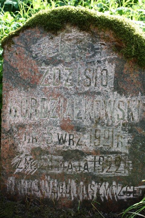 Tombstone of Zdzisław Grodziałkowski from the Ross Cemetery in Vilnius, as of 2013.