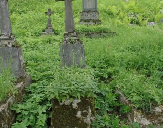 Nagrobek Katarzyny Połoczańskiej, cmentarz na Rossie w Wilnie, stan z 2013