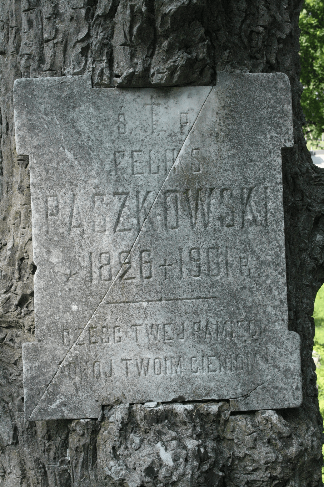 Plaque from the gravestone of Feliks Paszkowski, Ross Cemetery in Vilnius, as of 2013