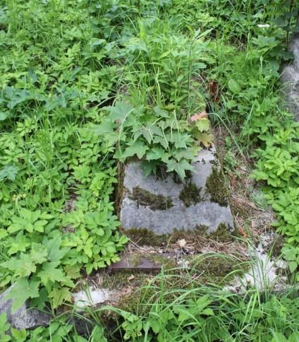 Nagrobek Wandy Tabeńskiej, cmentarz na Rossie w Wilnie, stan z 2013 r.