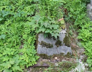 Nagrobek Wandy Tabeńskiej, cmentarz na Rossie w Wilnie, stan z 2013 r.